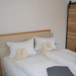 جيست هاوس باير أم باد شقة *