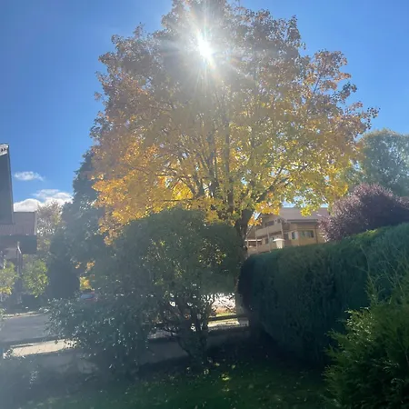 Gaestehaus Baier Am Bad Appartamento